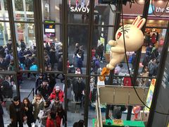 -line friends(明洞旗舰店)