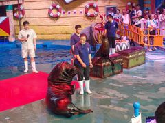 -烟台海昌鲸鲨海洋公园