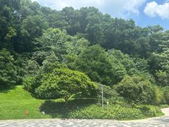 -云溪植物园