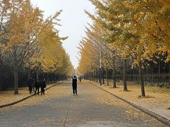 -西北农林科技大学(北校区)