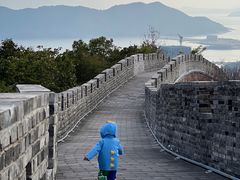 -黄贤森林公园