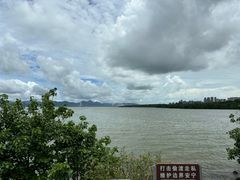 -深圳湾公园(南山区)