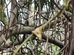 -狼山风景名胜区