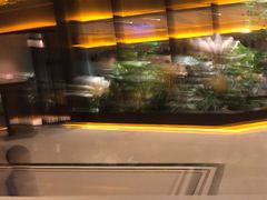 -世纪缘湖滨花园酒店·湖景轩中餐厅(太阳宫店)