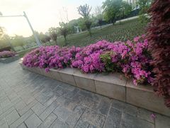 -同济大学(嘉定校区)