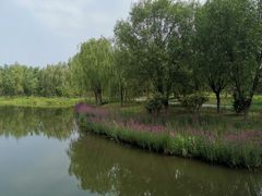-东郊湿地公园