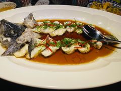 -海派悦庭·海胆烧麦·新融合菜(凯德广场店)