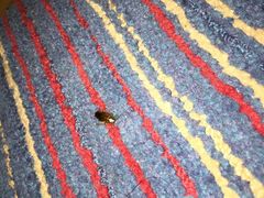 -曼谷王子宫殿酒店