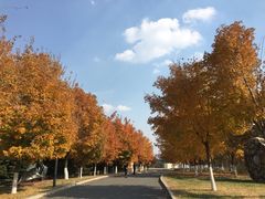 -长春世界雕塑园冰雪艺术天地