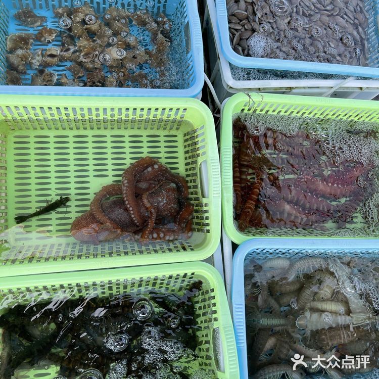 新村码头!海鲜买到爽,帮你避坑!