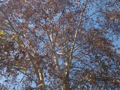 android_upload_pic-陕西师范大学(雁塔校区)