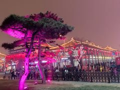 -大唐不夜城