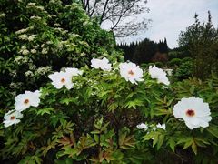 -汉景帝阳陵博物院