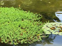 -常州古运河南大街文化旅游区-人民公园