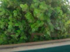 -重庆鸡公煲·嘟享吃(林科大店)