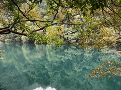 -鼎湖山风景区