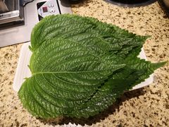 苏子叶-丰茂烤串(卫星广场店)