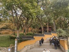 -法雨寺餐厅