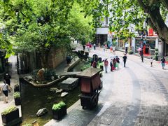 -猫的天空之城概念书店(杭州南宋御街店)