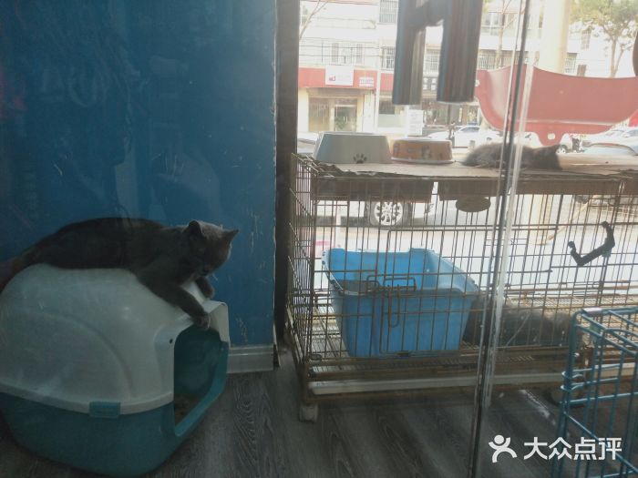 宠爱有家宠物生活馆图片