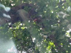 -小晏汽车维修店(华阳店)