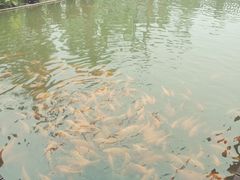 -枫香湖儿童公园