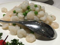 -新吉士·上海菜(浦东LCM置汇旭辉店)