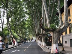 -T80科技文化国际社区-停车场