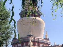 -张掖大佛寺景区