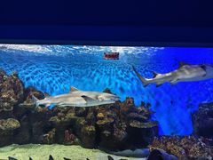 -石林冰雪海洋世界