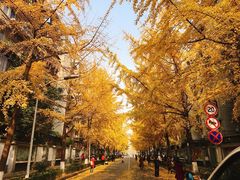 -四川大学(望江校区)