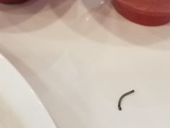 -禧旺鲜饺现包饺子(太阳城店)