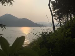-广州市流溪河国家森林公园