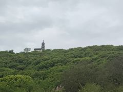 -苏州上方山国家森林公园