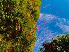 -北京上方山国家森林公园