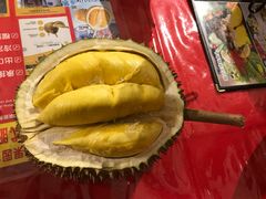 -都念榴莲·城市榴莲