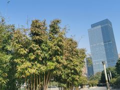 -后襄河公园