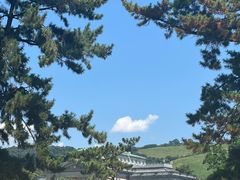 -奈良公园