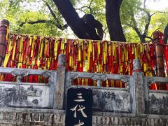 -大槐树寻根祭祖园