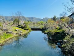 -雅达·阳羡溪山小镇中心