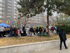 -中央民族大学