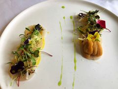 -蝶舍·MAISON PAPILLON