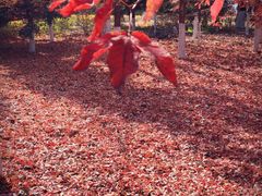 -长春世界雕塑园冰雪艺术天地