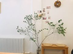 -团子君寿司·茶