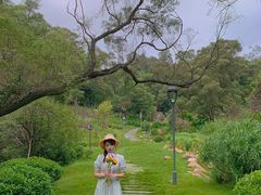 -金鸡山公园
