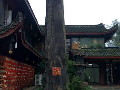 -峨眉山报国寺