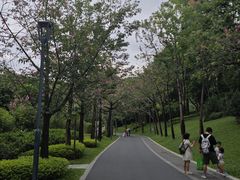 -云溪植物园