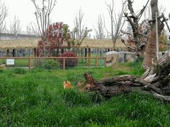 -祥源·阜阳生态乐园