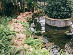 -上海鲜花港