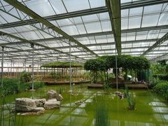 景点-观光南瓜园